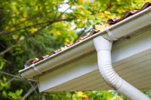 Rockville Centre Gutter Cleaning