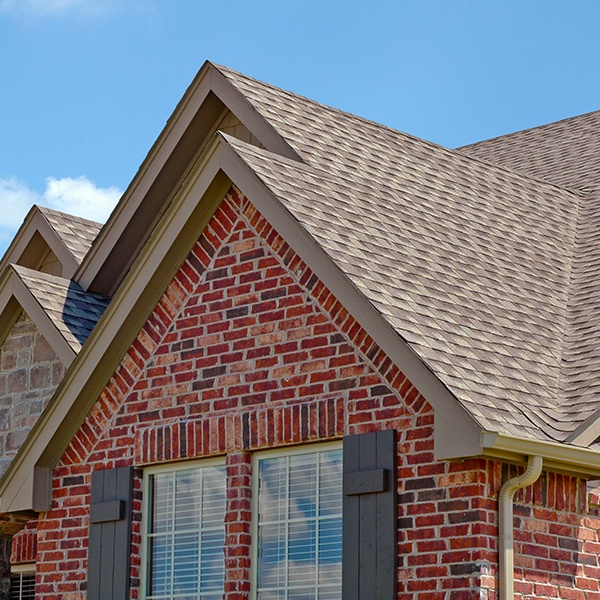 roof cleaning